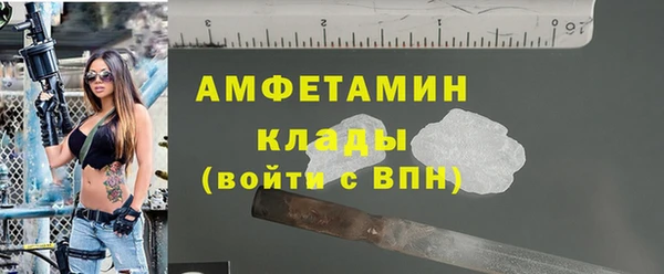 шишки Усолье-Сибирское