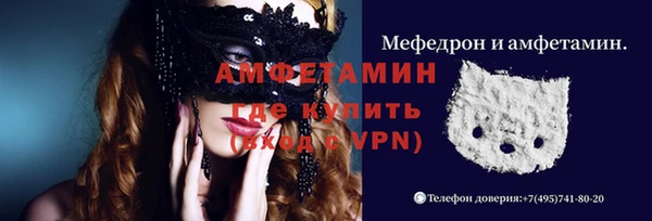 сатива Козельск