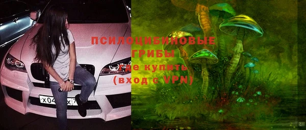 шишки Усолье-Сибирское