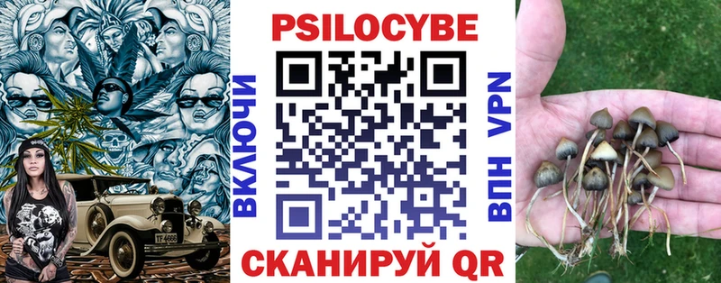 Галлюциногенные грибы мицелий  Купить где  Хилок 